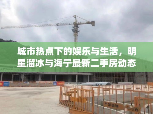 城市热点下的娱乐与生活，明星溜冰与海宁最新二手房动态