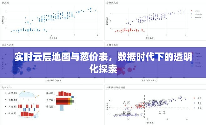 实时云层地图与葱价表，数据时代下的透明化探索