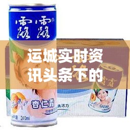 运城实时资讯头条下的露露杏仁露批发价格解析