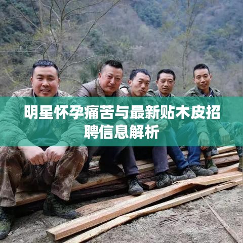 明星怀孕痛苦与最新贴木皮招聘信息解析