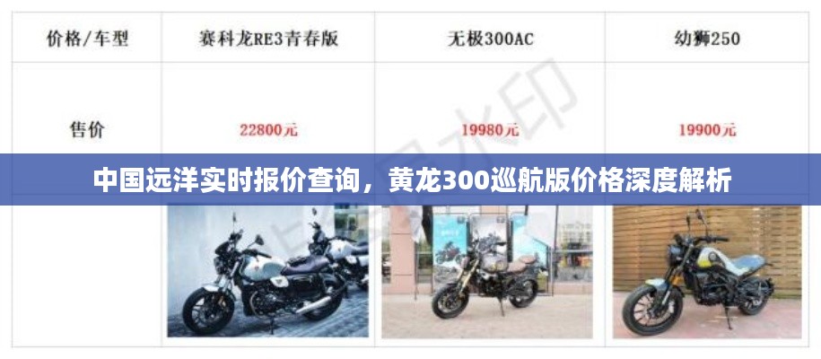 中国远洋实时报价查询，黄龙300巡航版价格深度解析