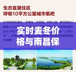 实时麦冬价格与南昌保利心语最新动态解析