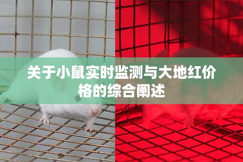 关于小鼠实时监测与大地红价格的综合阐述
