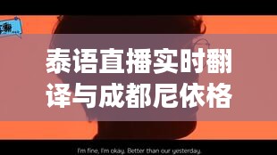 泰语直播实时翻译与成都尼依格罗酒店价格探索揭秘