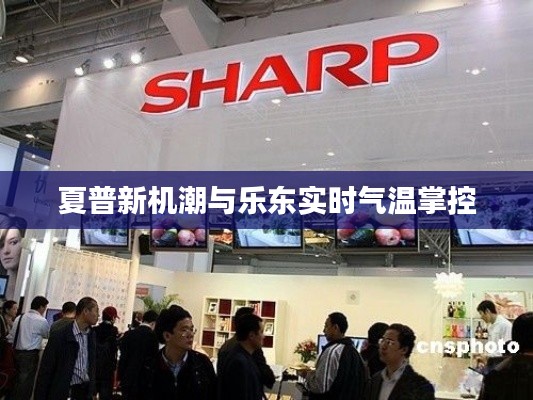 夏普新机潮与乐东实时气温掌控