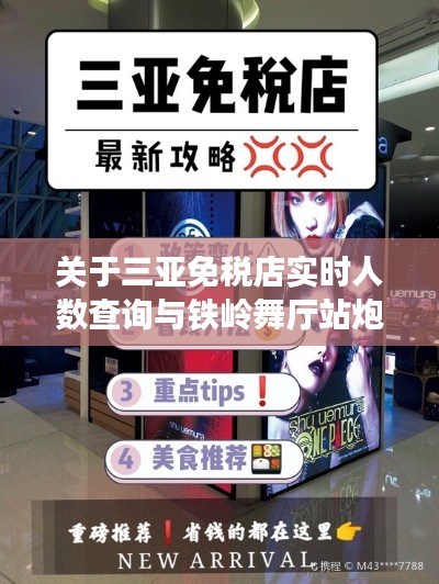 关于三亚免税店实时人数查询与铁岭舞厅站炮价格的深度剖析