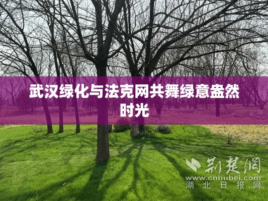 武汉绿化与法克网共舞绿意盎然时光