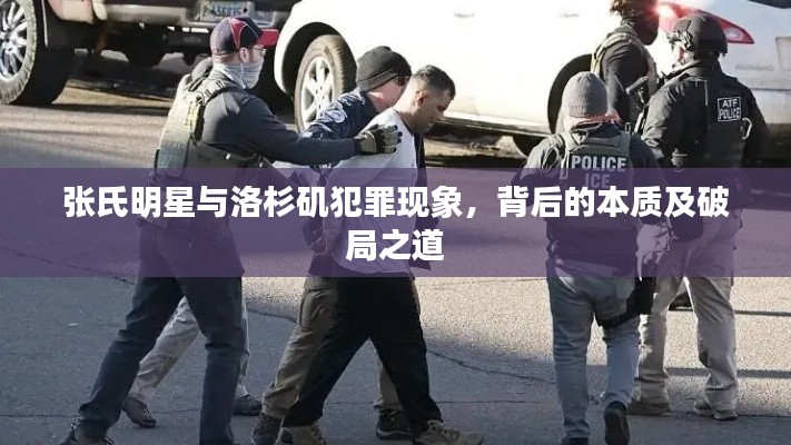 张氏明星与洛杉矶犯罪现象，背后的本质及破局之道