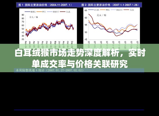 白耳绒猴市场走势深度解析，实时单成交率与价格关联研究