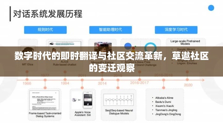 数字时代的即时翻译与社区交流革新，草遨社区的变迁观察