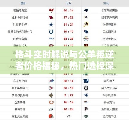 格斗实时解说与公羊叛逆者价格揭秘，热门选择深度探讨