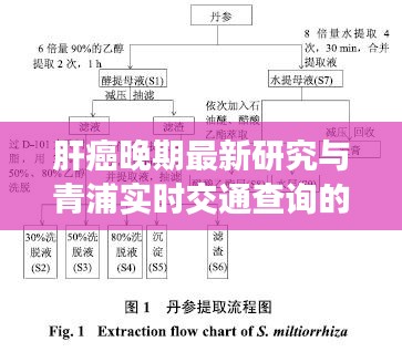 肝癌晚期最新研究与青浦实时交通查询的关联及其解读
