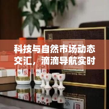 科技与自然市场动态交汇，滴滴导航实时声音与最新玉米价格行情播报