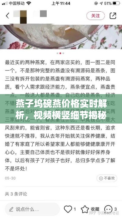 燕子坞碗燕价格实时解析，视频横竖细节揭秘