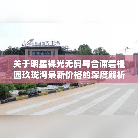 关于明星裸光无码与合浦碧桂园玖珑湾最新价格的深度解析与对比