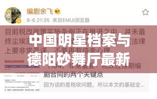 中国明星档案与德阳砂舞厅最新地方，全面释义、深度解读及风险预警