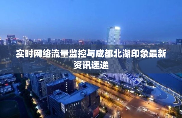 实时网络流量监控与成都北湖印象最新资讯速递