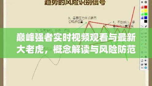 巅峰强者实时视频观看与最新大老虎，概念解读与风险防范