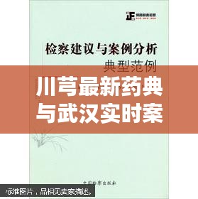 川芎最新药典与武汉实时案例，全面解析与应用建议
