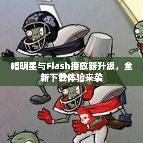 帽明星与Flash播放器升级，全新下载体验来袭