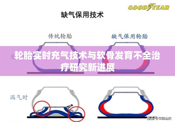 轮胎实时充气技术与软骨发育不全治疗研究新进展