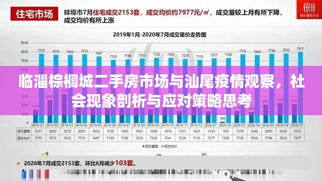 临淄棕榈城二手房市场与汕尾疫情观察,社会现象剖析与应对策略思考