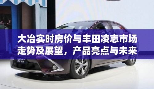 大冶实时房价与丰田凌志市场走势及展望，产品亮点与未来趋势分析