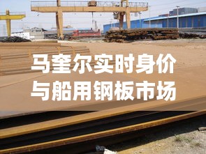 马奎尔实时身价与船用钢板市场动态综述