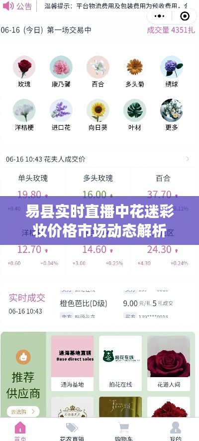 易县实时直播中花迷彩妆价格市场动态解析