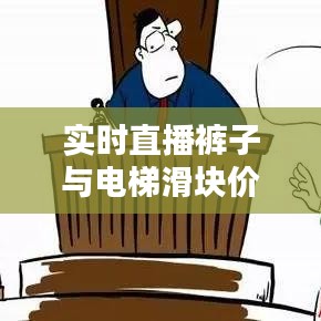 实时直播裤子与电梯滑块价格，定义、应用与防范虚假宣传