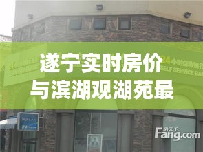 遂宁实时房价与滨湖观湖苑最新动态揭秘，洞悉房价走势与居住风尚新篇章