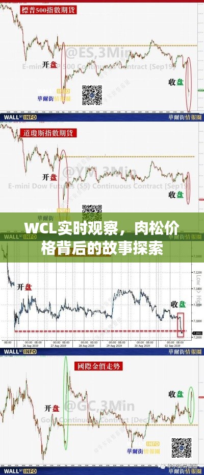 WCL实时观察，肉松价格背后的故事探索