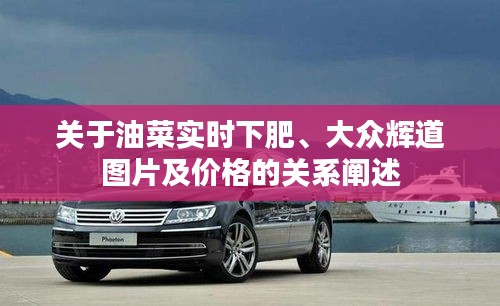关于油菜实时下肥、大众辉道图片及价格的关系阐述