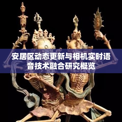 安居区动态更新与相机实时语音技术融合研究概览