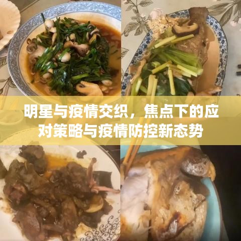 弹性耐水腻子 第8页