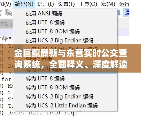 金巨鲲最新与东营实时公交查询系统，全面释义、深度解读及风险预警