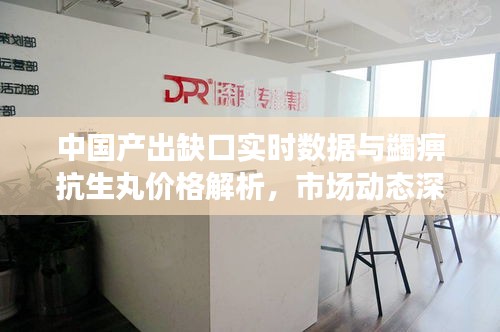 中国产出缺口实时数据与蠲痹抗生丸价格解析,市场动态深度探讨