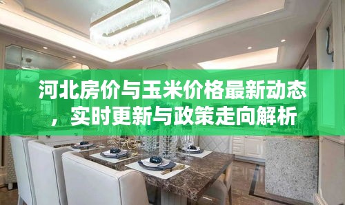 河北房价与玉米价格最新动态，实时更新与政策走向解析