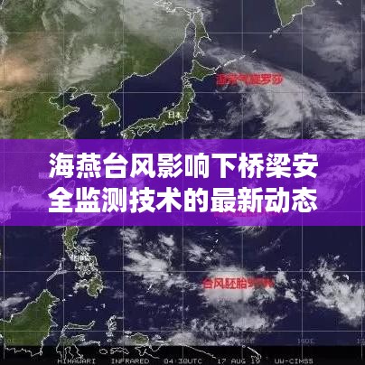 海燕台风影响下桥梁安全监测技术的最新动态分析