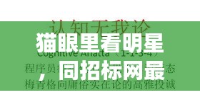猫眼里看明星，同招标网最新招标信息的深度解读与警示