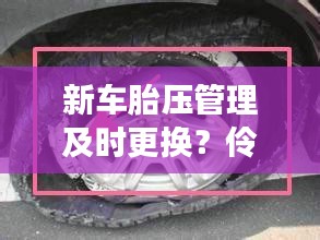 新车胎压管理及时更换？伶俐镇发展规划揭秘