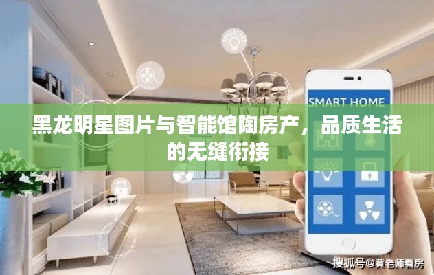 黑龙明星图片与智能馆陶房产,品质生活的无缝衔接