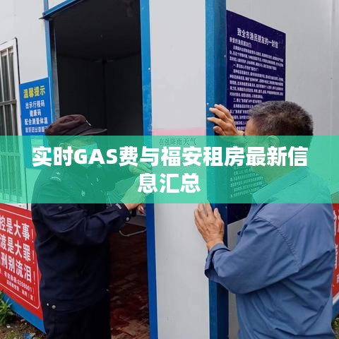 实时GAS费与福安租房最新信息汇总