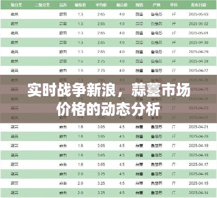 实时战争新浪，蒜薹市场价格的动态分析