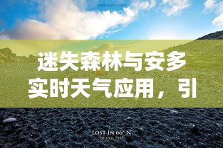 迷失森林与安多实时天气应用，引领户外探险与天气预报新时代的先锋