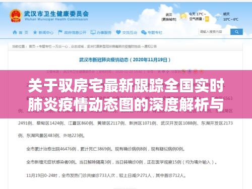 关于驭房宅最新跟踪全国实时肺炎疫情动态图的深度解析与策略探讨