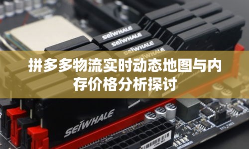 拼多多物流实时动态地图与内存价格分析探讨