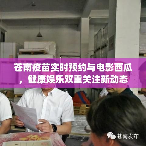 苍南疫苗实时预约与电影西瓜，健康娱乐双重关注新动态
