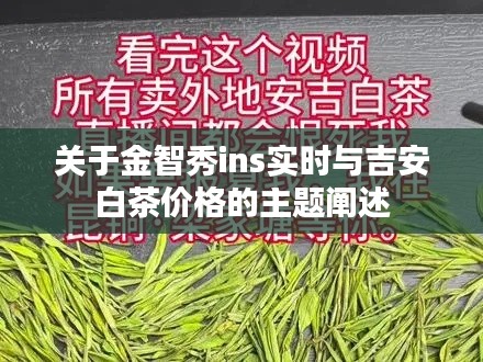 关于金智秀ins实时与吉安白茶价格的主题阐述