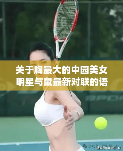 关于胸最大的中园美女明星与鼠最新对联的语境关系论述